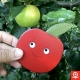 Garden - Apple