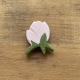 Kicsi mágnes virág -bimbó